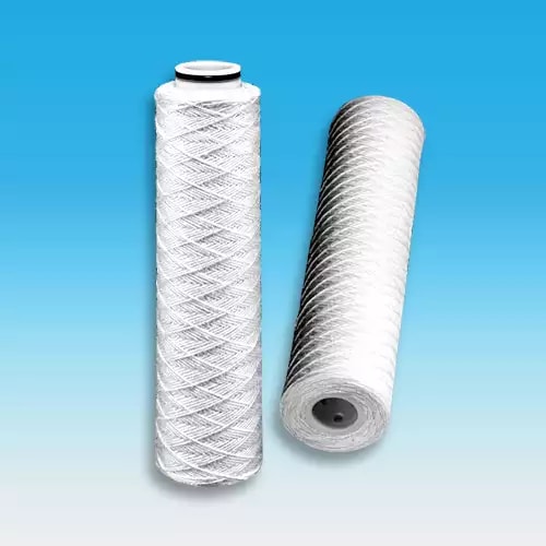 DFT Classic® Depth Filter G00SAW30AC1PK279