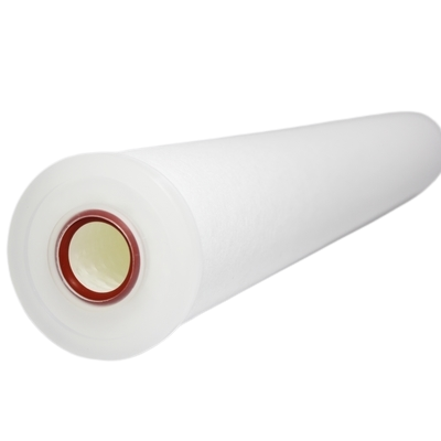 Evoqua Water Technologies EA Series Vent Cartridge Filter