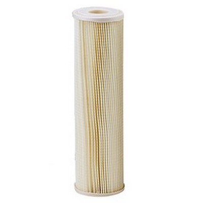 Evoqua Water Technologies Pentek Pleated Filter Cartridge